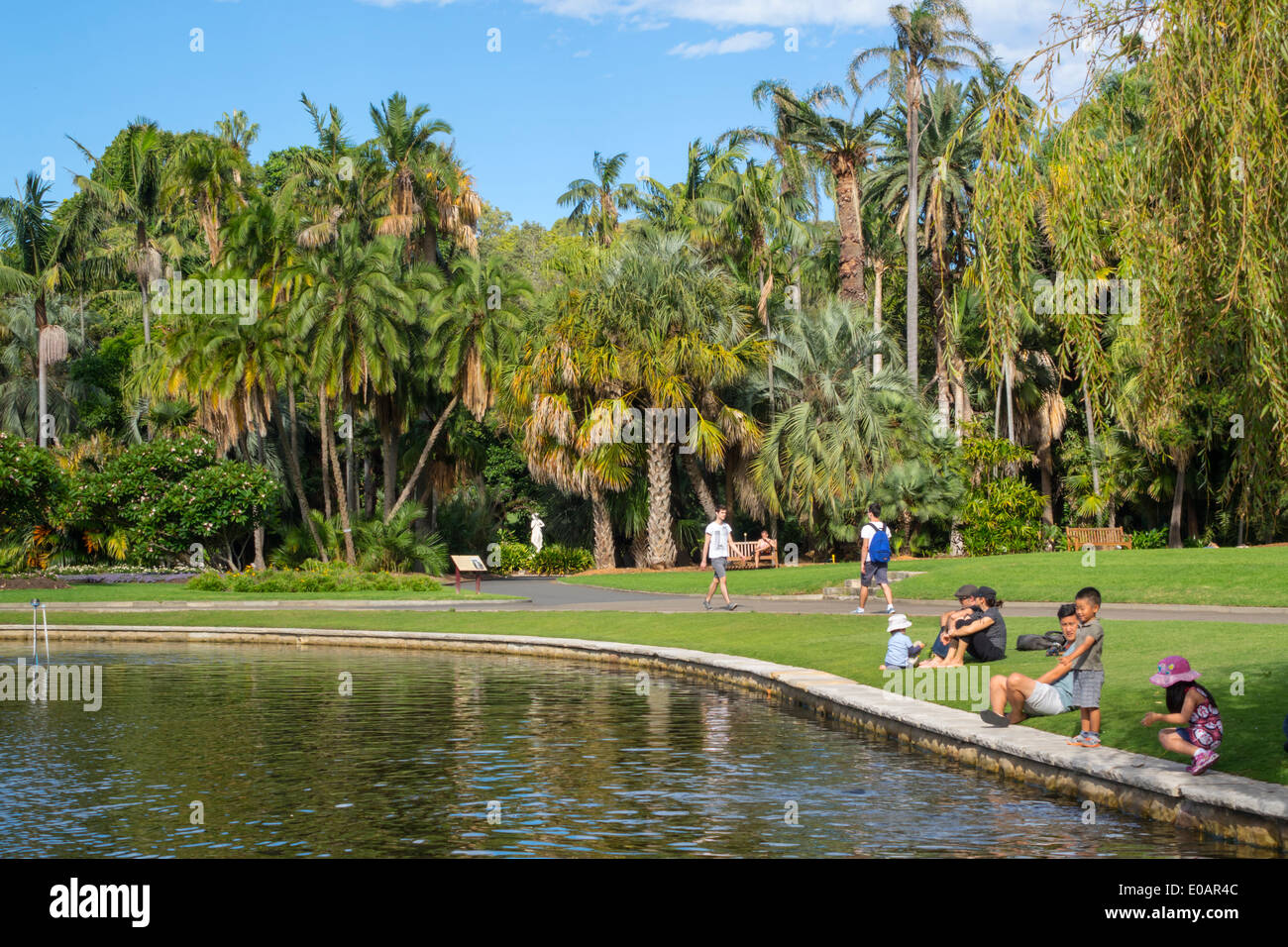 Sydney Australia,New South Wales,Royal Botanic Gardens,Main Pond,famiglia famiglie genitori bambini, parco, visitatori viaggio tou tour Foto Stock