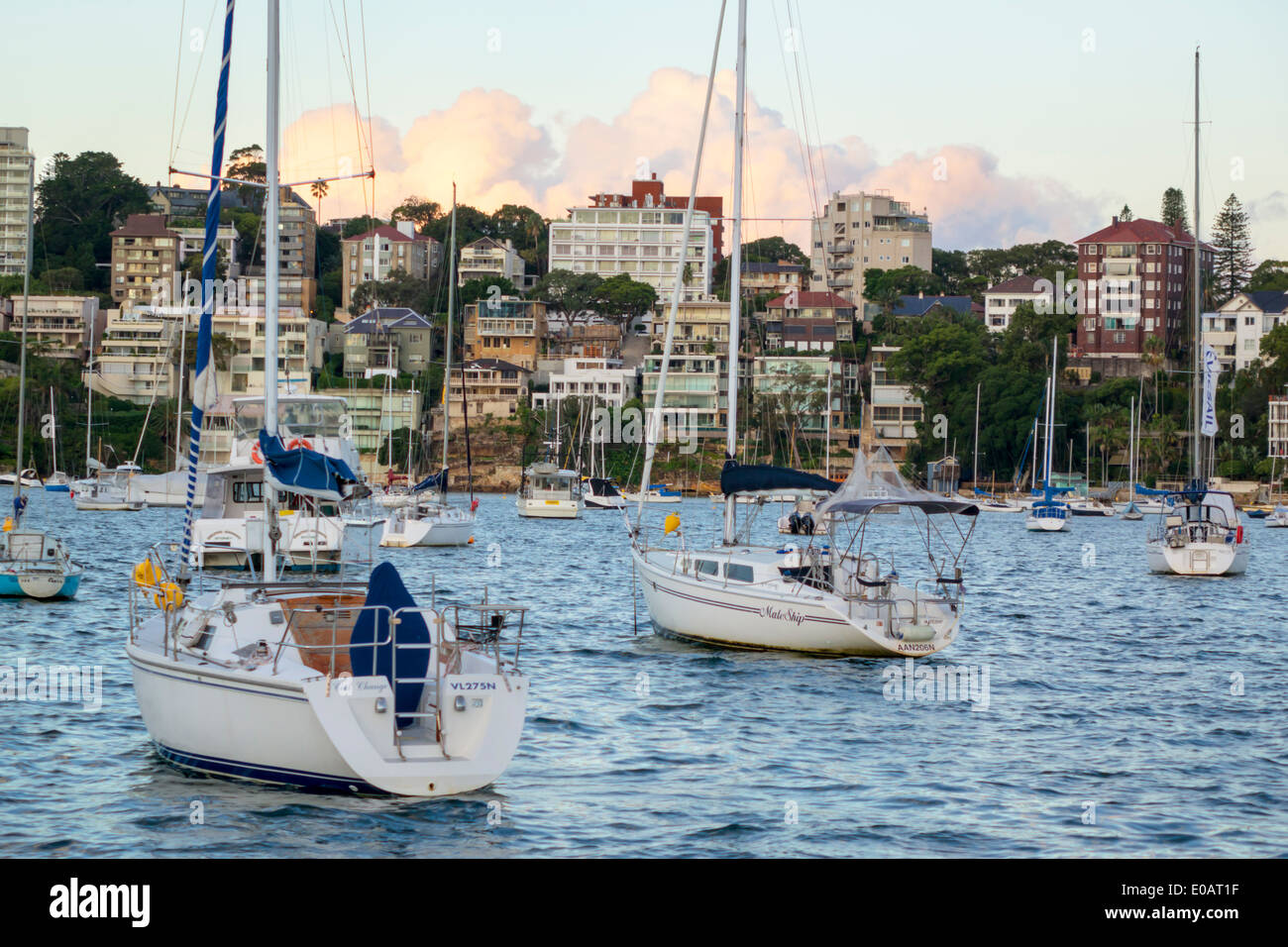 Sydney Australia,Sydney Harbour,porto,Double Bay,yachts,barche a vela,barche,ormeggiate,lungomare,residenze,condominio appartamenti residenziali bui Foto Stock