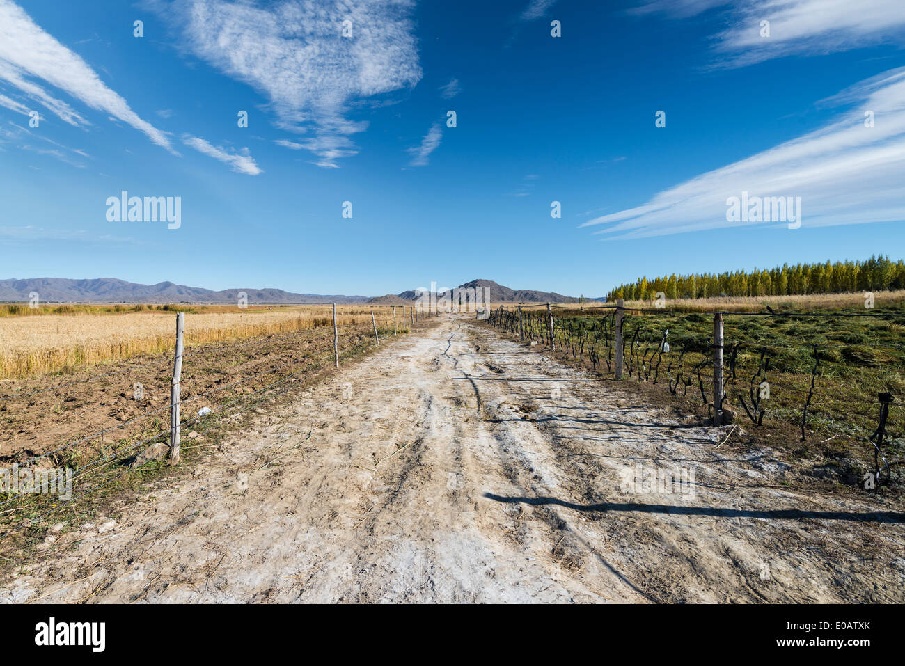 Strada in wild,Xinjiang, Cina Foto Stock