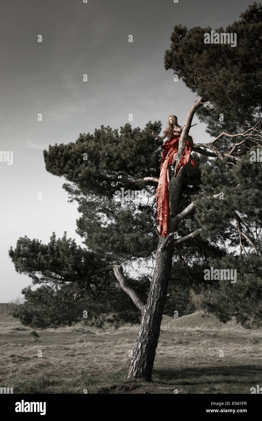 In Germania, in Baviera, Froettmaning Heath, giovane donna che indossa un abito di taffettà seduta su albero Foto Stock
