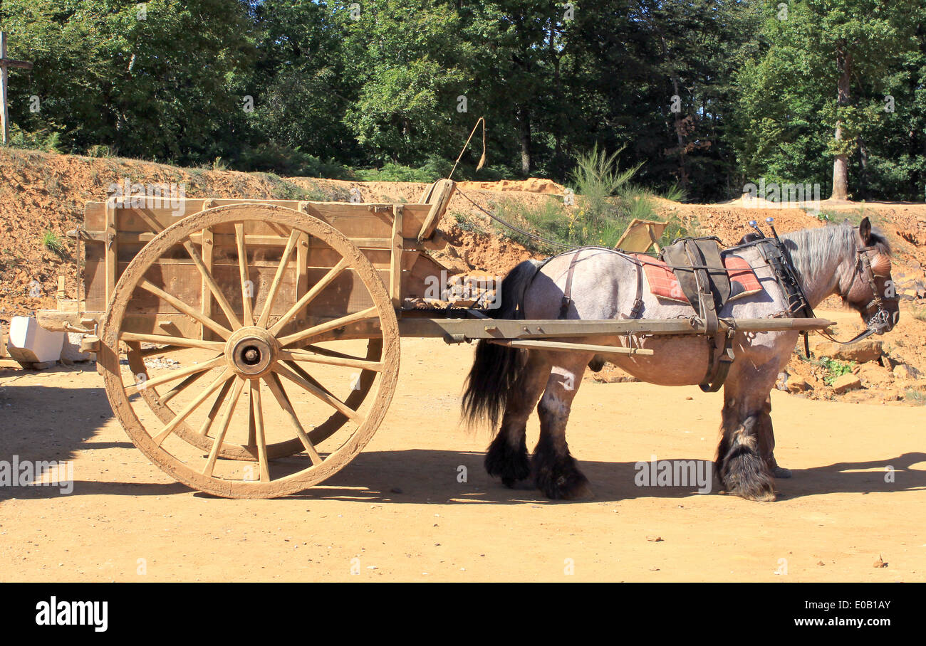 Cavallo imbrigliato a un carrello per il trasporto di materiali Foto Stock