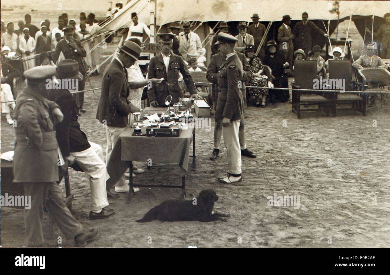 Questa foto della RAF mostra Edwin Newman durante un evento della giornata dello Sport in Iraq. Il personale della Royal Air Force di stanza in Medio Oriente durante la seconda guerra mondiale ha partecipato ad attività come Sports Day come parte degli sforzi per migliorare il morale durante il loro dispiegamento. Foto Stock