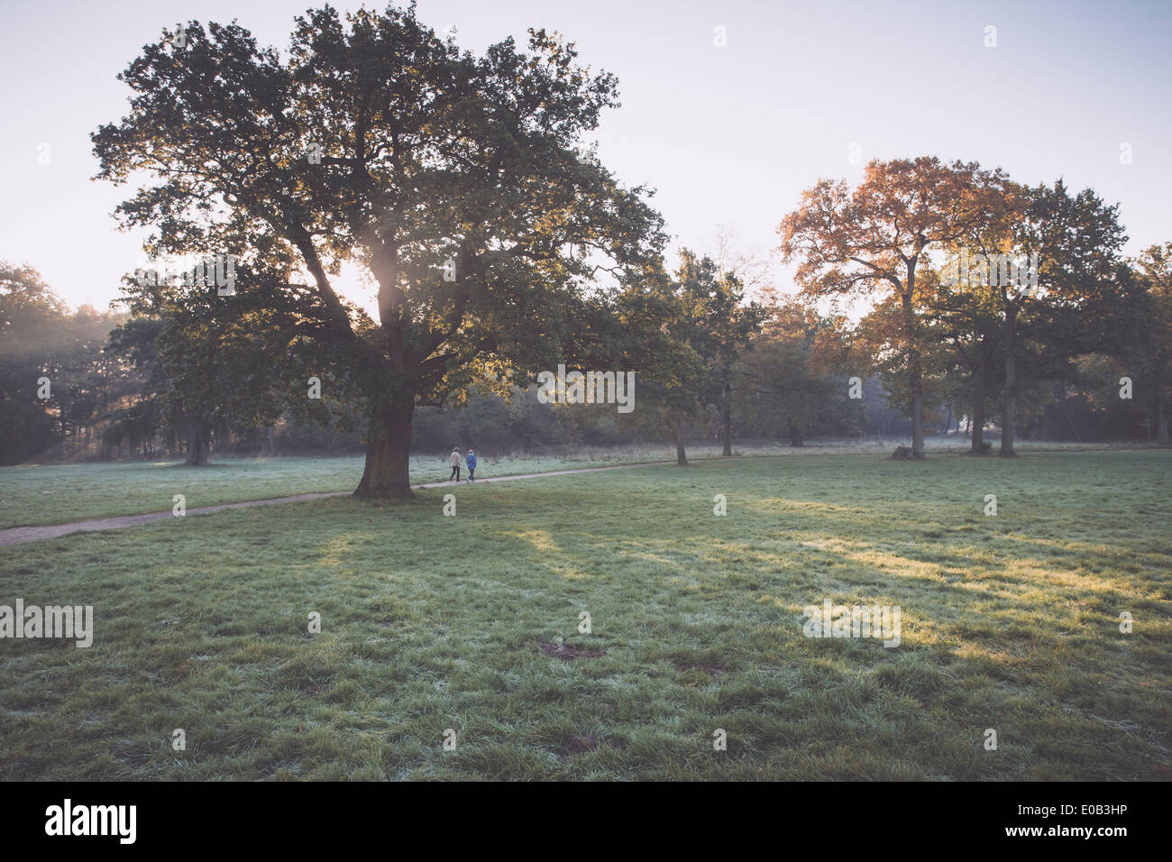 Germania, Amburgo, Jenischpark in autunno Foto Stock