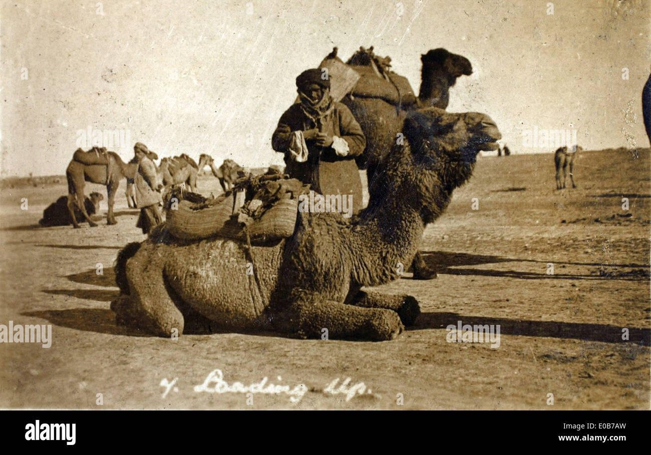 Questa fotografia, scattata da Edwin Newman, raffigura l'East End di Baghdad durante il conflitto in Iraq. Fornisce una prospettiva storica sulle attività militari e aeree della regione durante il conflitto. Foto Stock