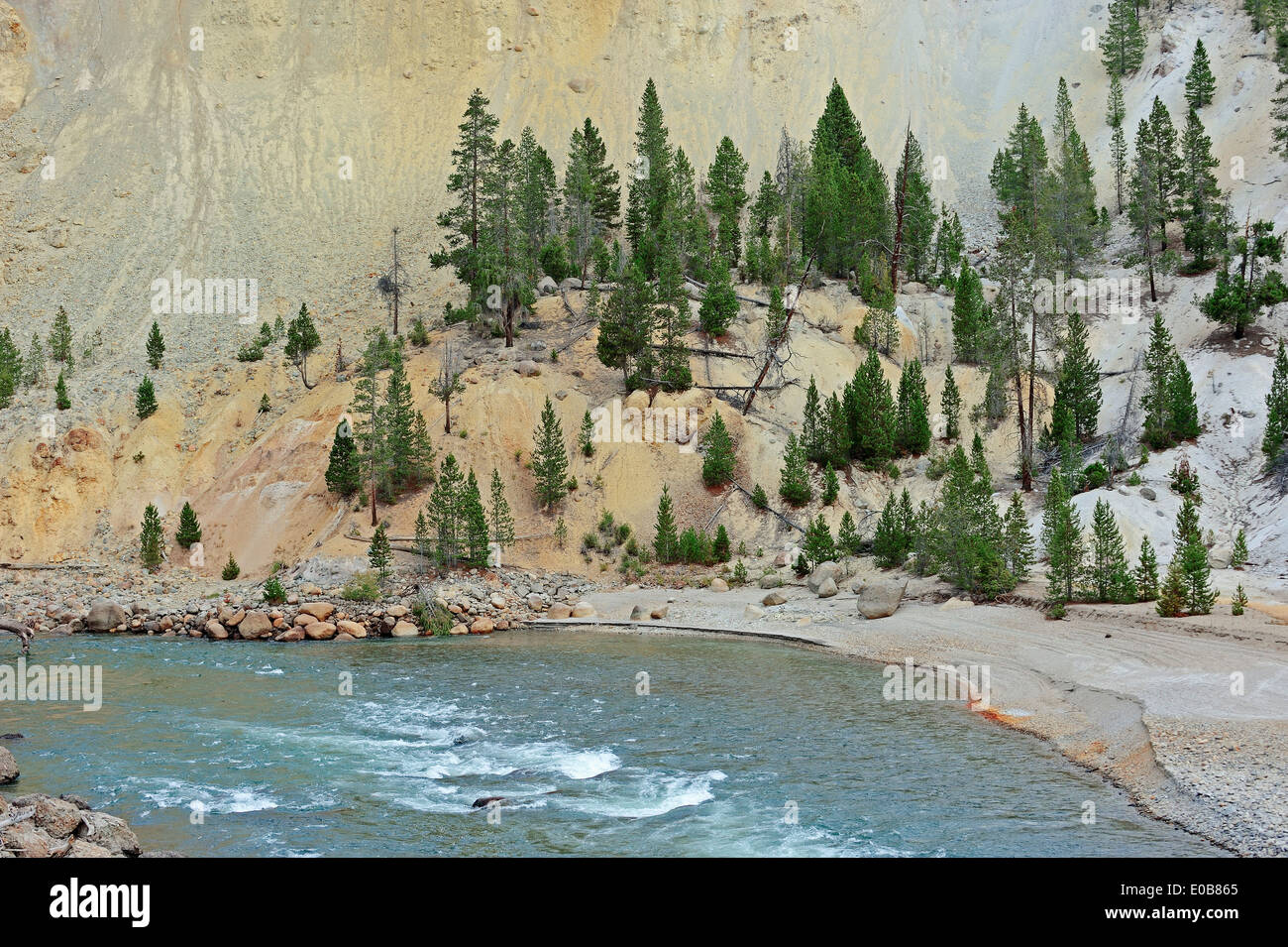 Yellowstone River, il Parco nazionale di Yellowstone, Wyoming USA Foto Stock