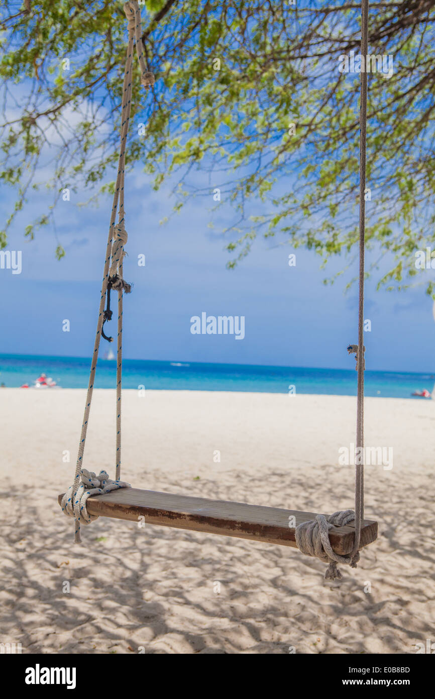 Tree swing sul Palm Beach, Aruba, Piccole Antille, dei Caraibi Foto Stock