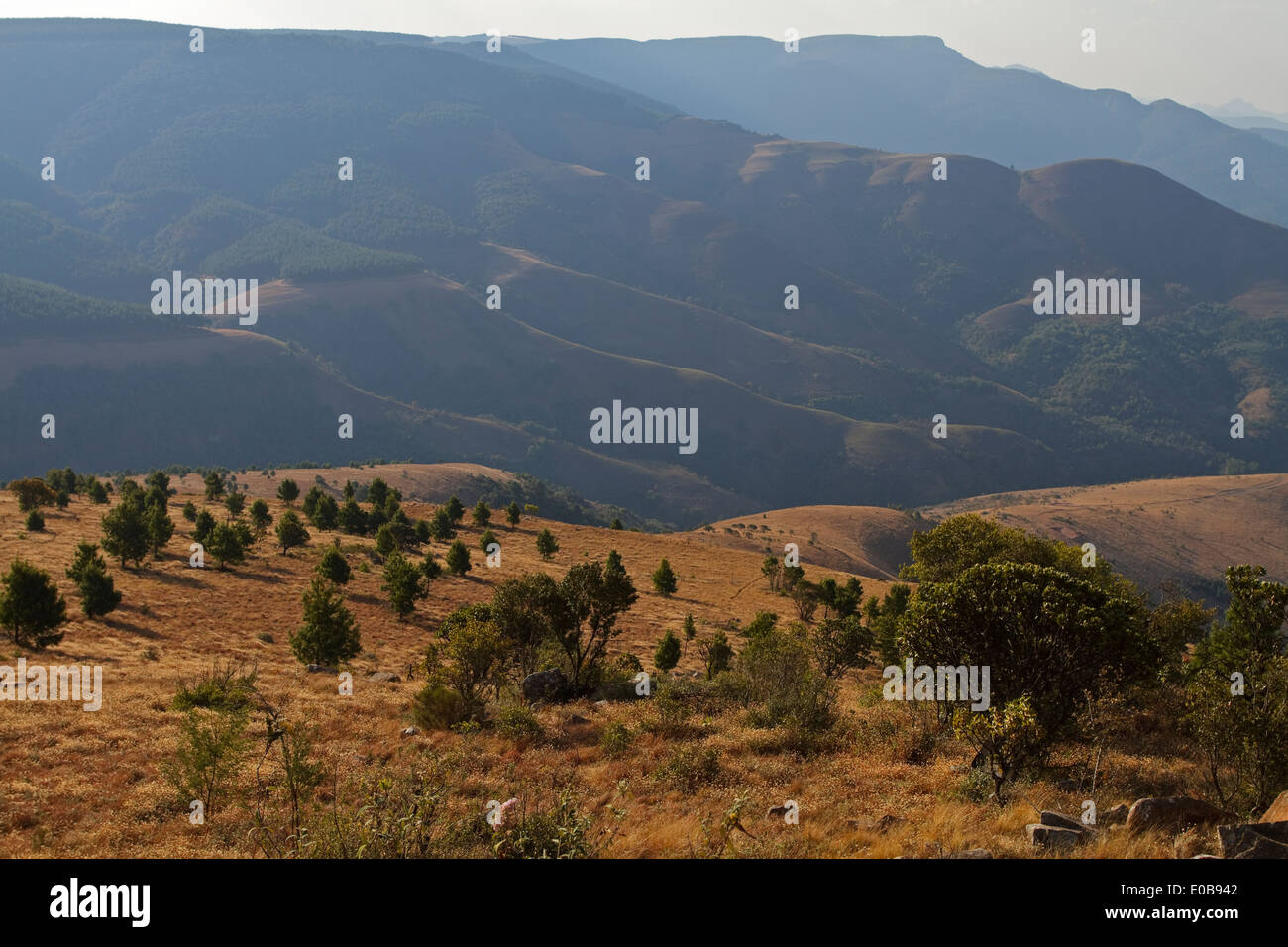 Paesaggio di montagna dal Monte Saba e di pellegrino di riposo nel nord del Drakensberg Mpumalanga, Foto Stock