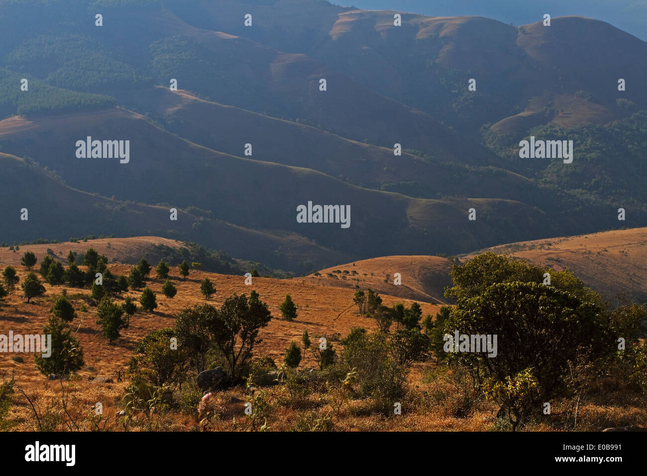 Paesaggio di montagna dal Monte Saba e di pellegrino di riposo nel nord del Drakensberg Mpumalanga, Foto Stock