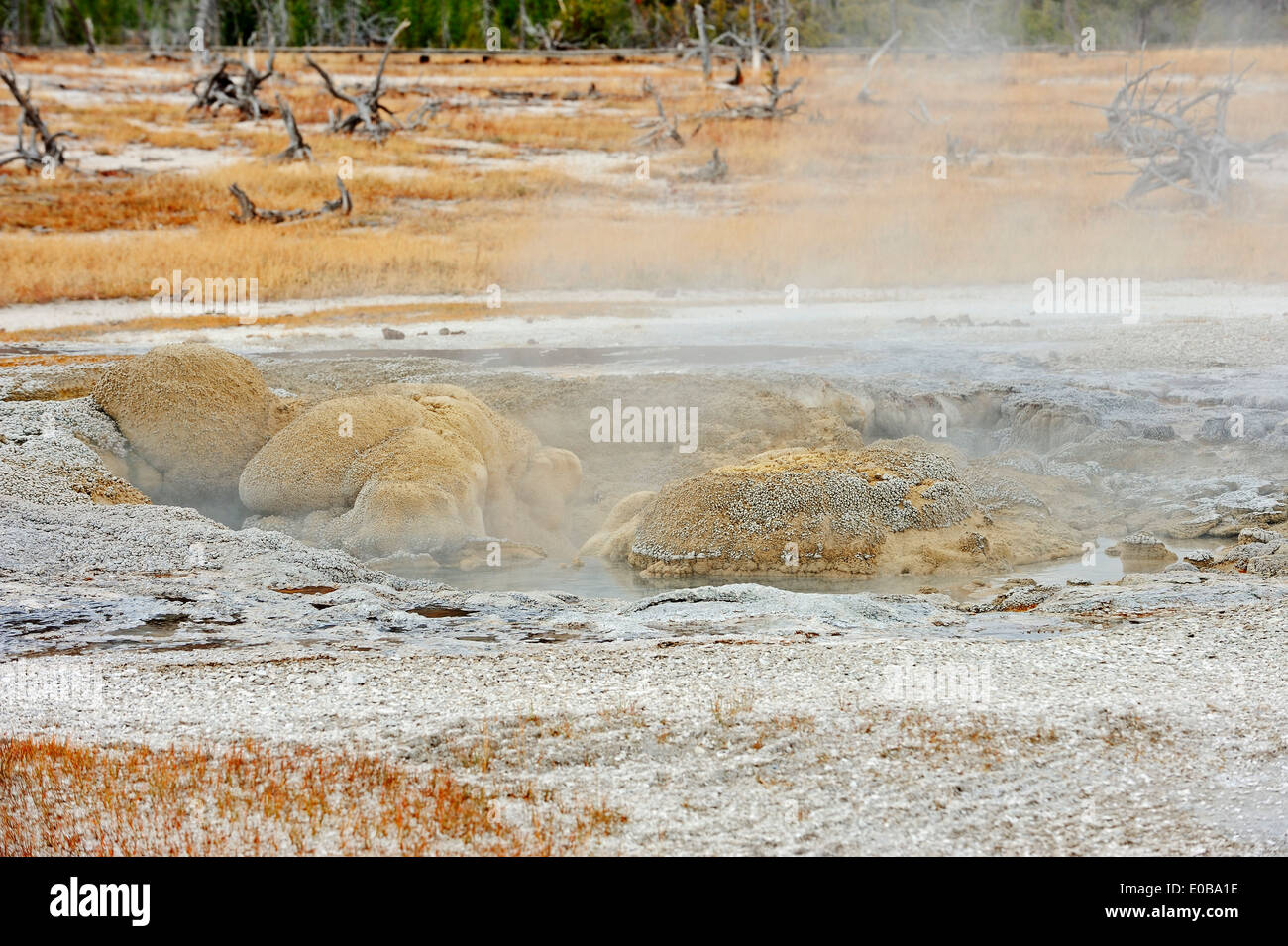 Gioiello Geyser, Biscuit Basin, il Parco nazionale di Yellowstone, STATI UNITI D'AMERICA Foto Stock