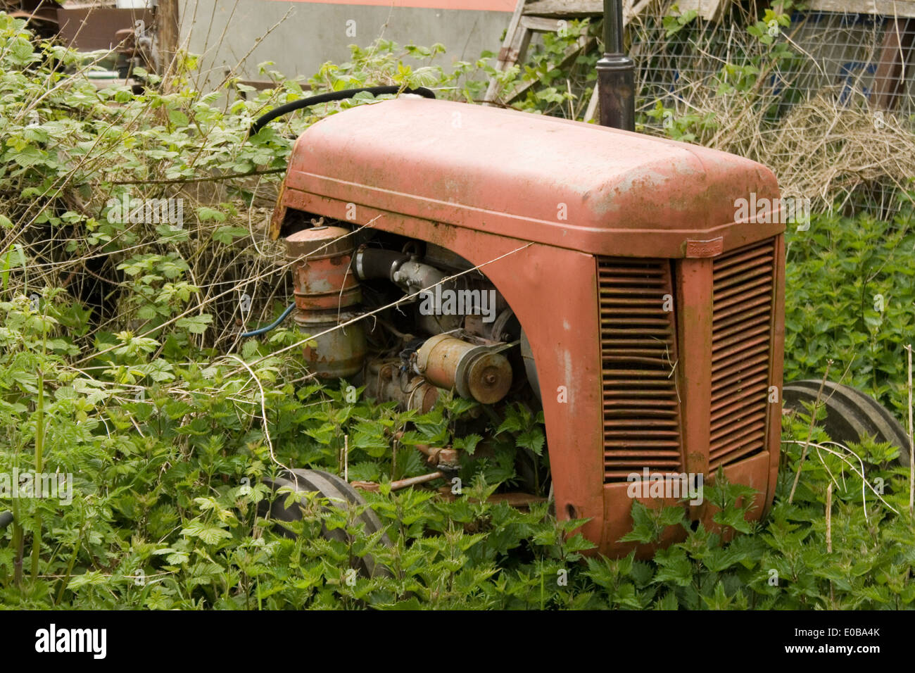 Vecchia ruggine trattore lasciato nel sottobosco Foto Stock