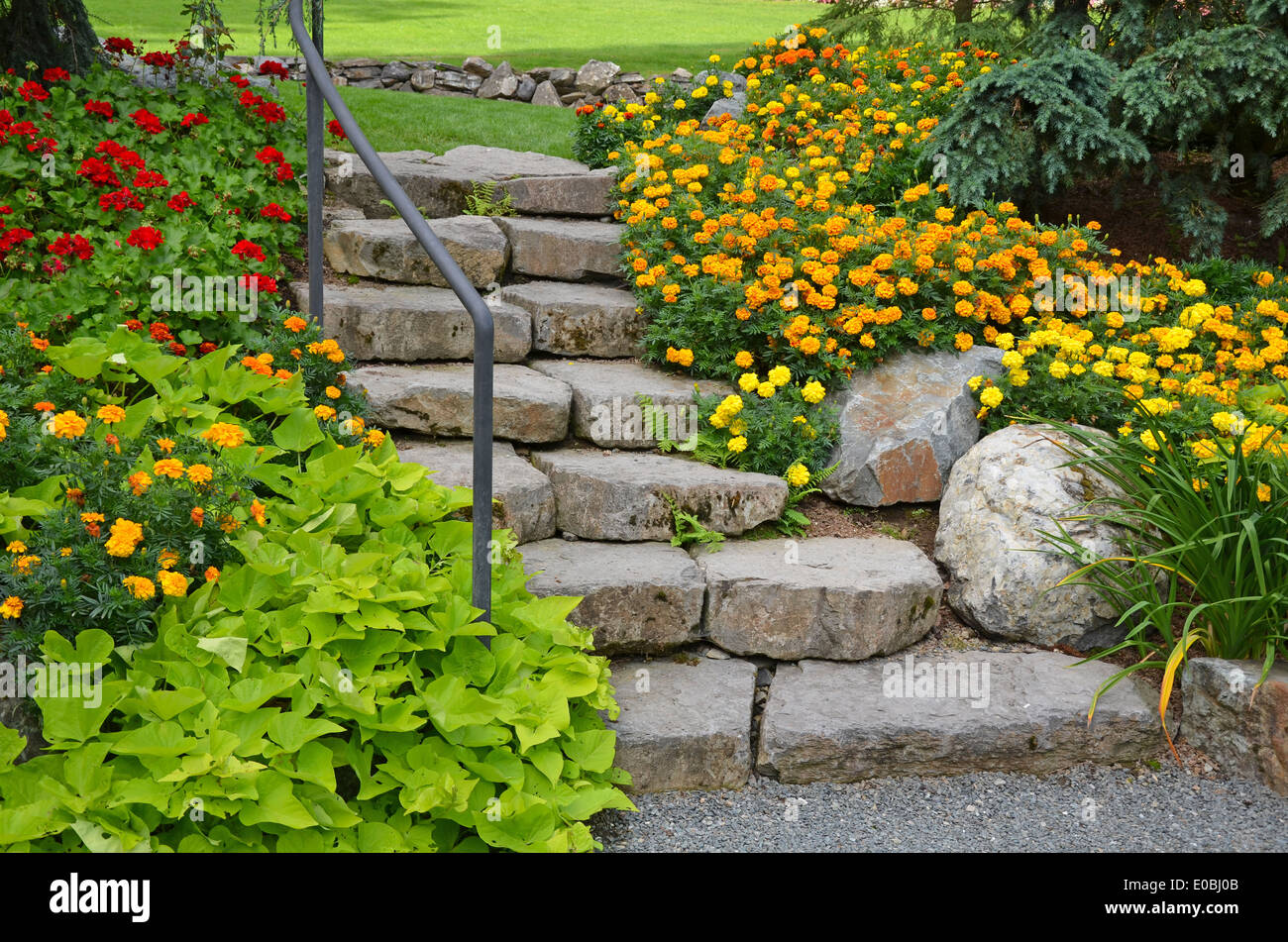 Il giardino di pietra scalinata con splendidi fiori d'estate Foto Stock