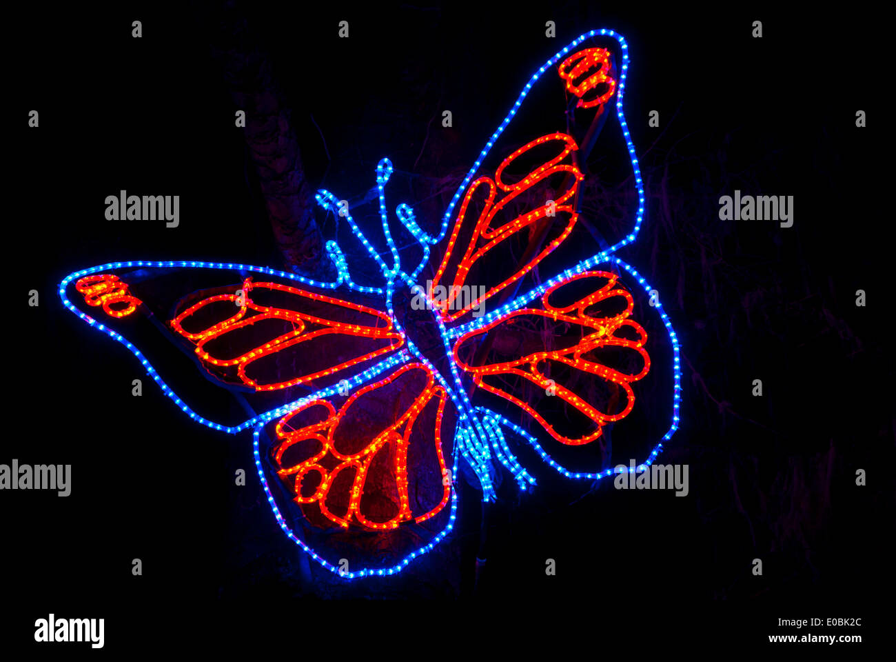 Butterfly, Shore acri Holiday Lights, Shore acri del parco statale, Oregon Foto Stock