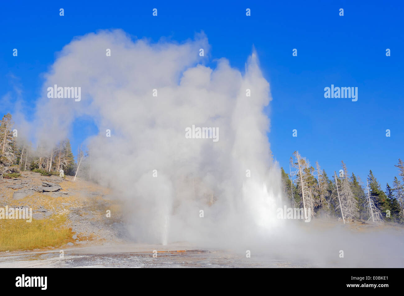 Grand Geyser, Upper Geyser Basin, il Parco nazionale di Yellowstone, Wyoming USA Foto Stock