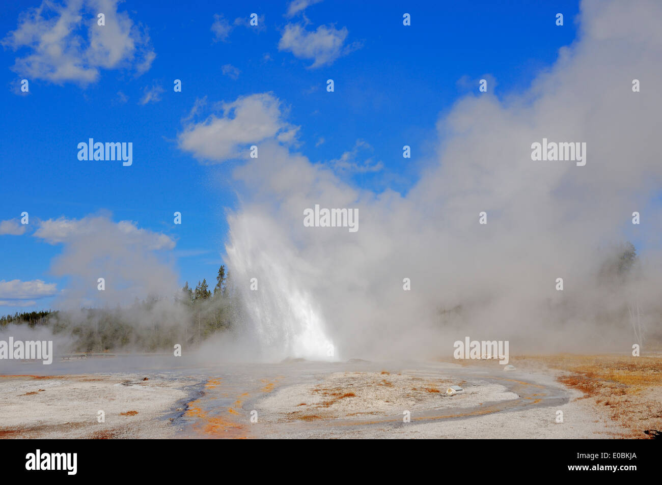 Daisy Geyser, Upper Geyser Basin, il Parco nazionale di Yellowstone, Wyoming USA Foto Stock