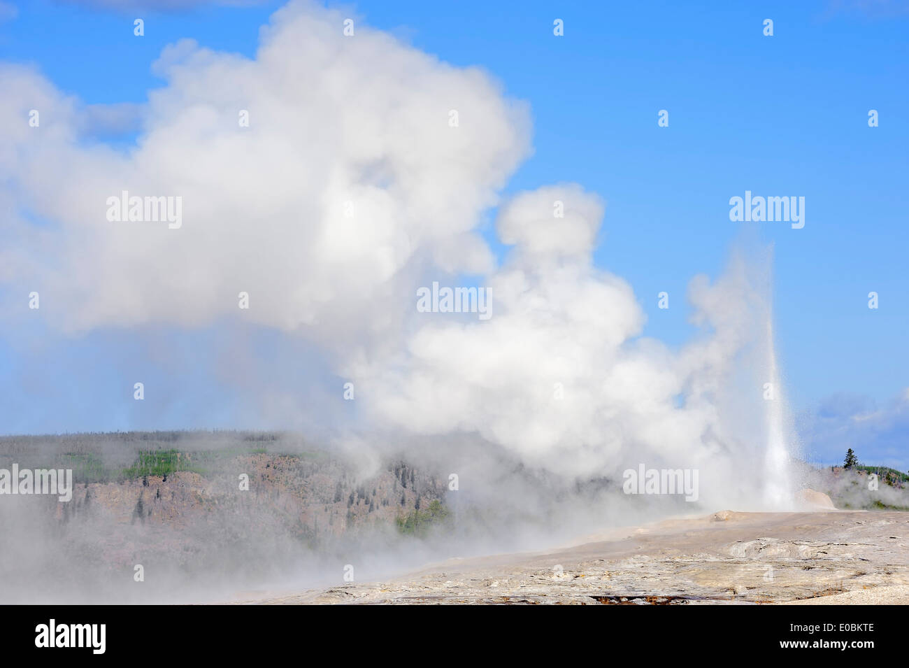Geyser Old Faithful, Upper Geyser Basin, il Parco nazionale di Yellowstone, Wyoming USA Foto Stock