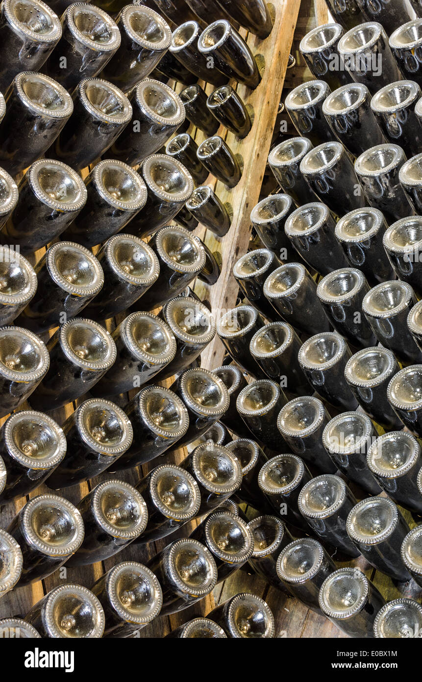 Tradizionale vini spumanti memorizzato nel rack in cantina della cantina Foto Stock