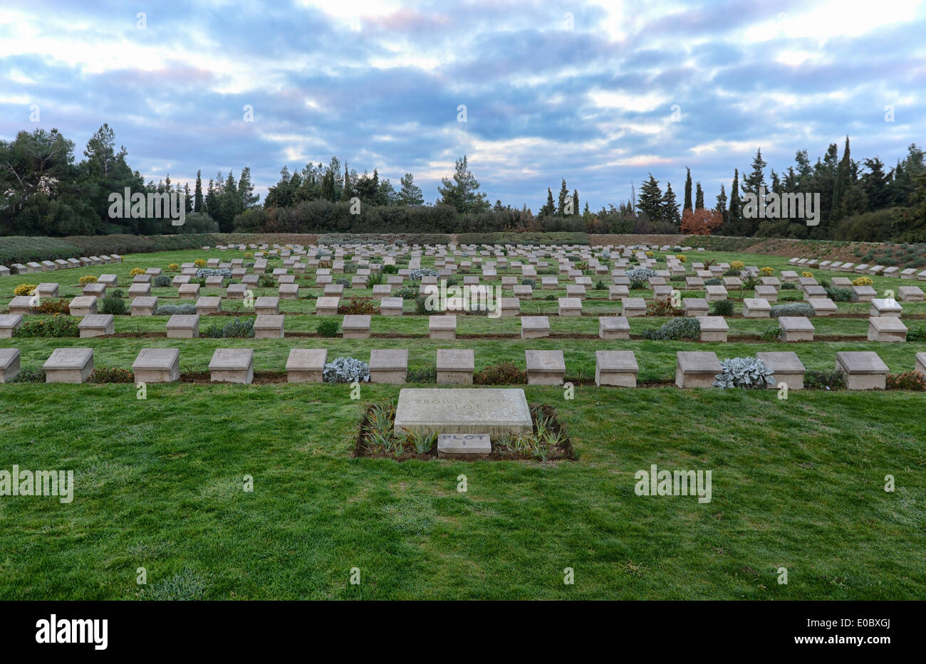 Dodici Tree Copse cimitero di Gallipoli, Turchia Foto Stock