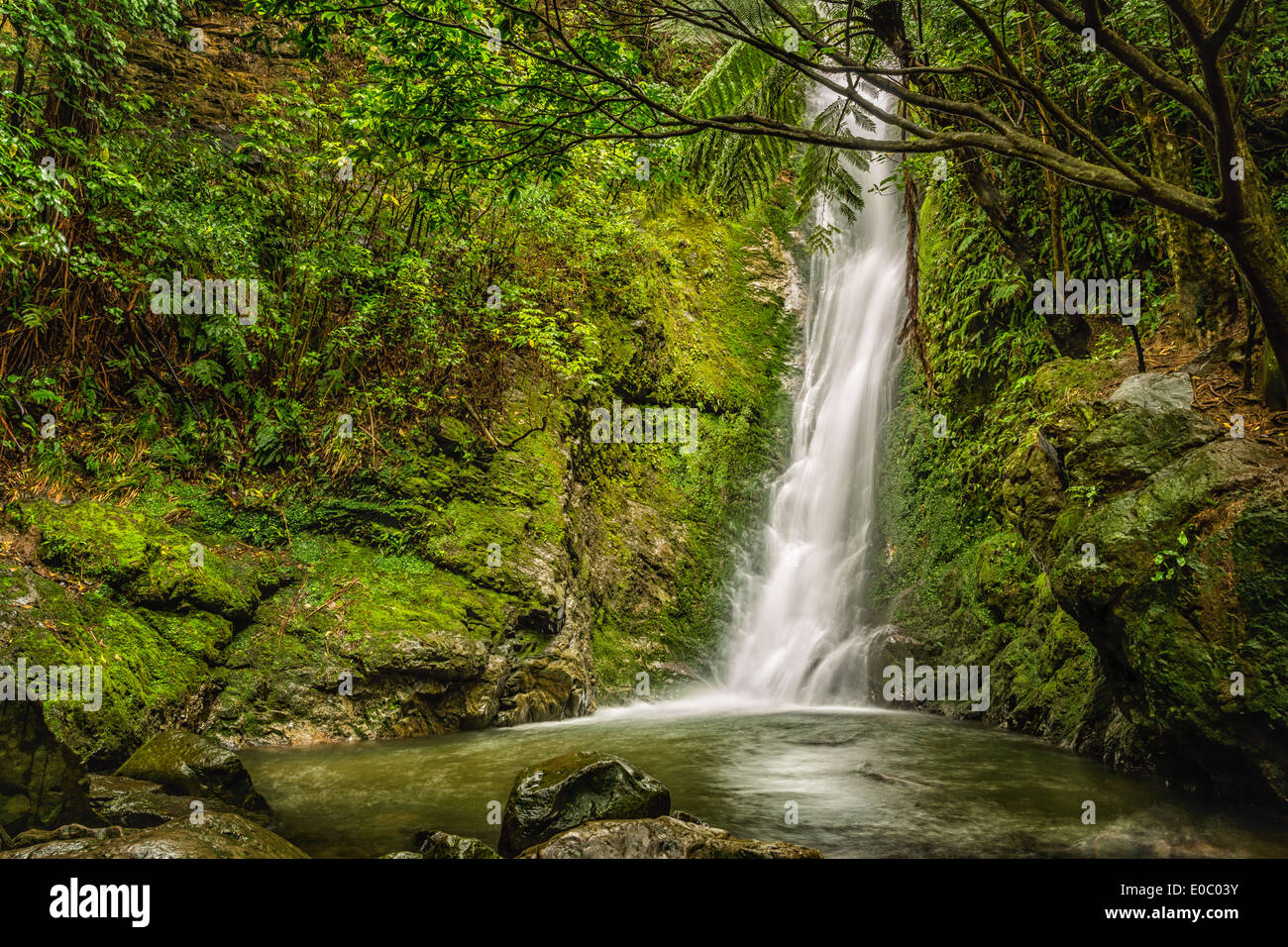 Ohau cascata, Isola del Sud, Nuova Zelanda Foto Stock