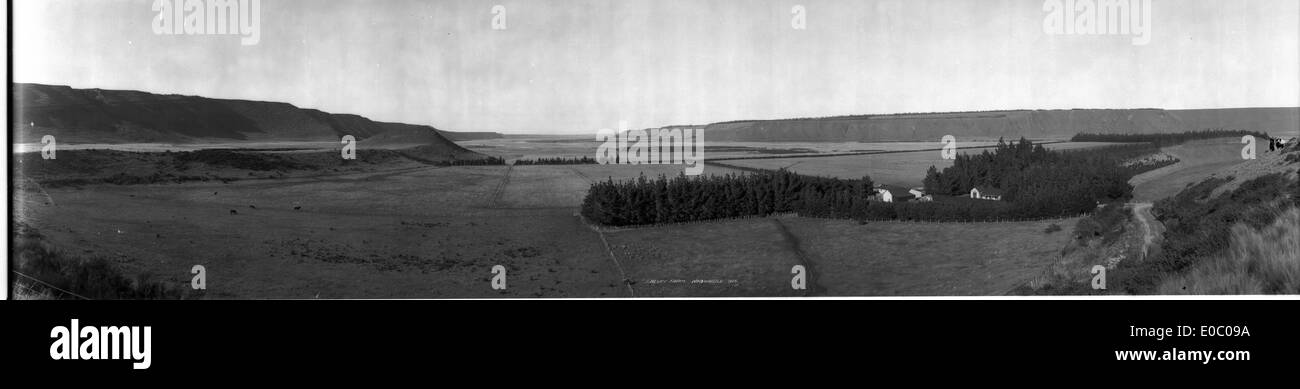 Bluff Farm a Windwhistle, catturata nel 1925, ritrae una vista panoramica della vita agricola rurale in nuova Zelanda, mostrando un campo con paesaggi naturali. Foto Stock