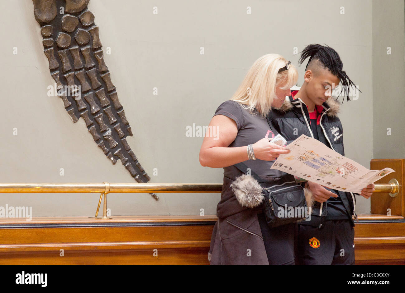 Coppia giovane presso il Museo di Storia Naturale di Londra UK, con ossa di dinosauro dalla pinna di un fossilizzato Pleiosaur. Foto Stock