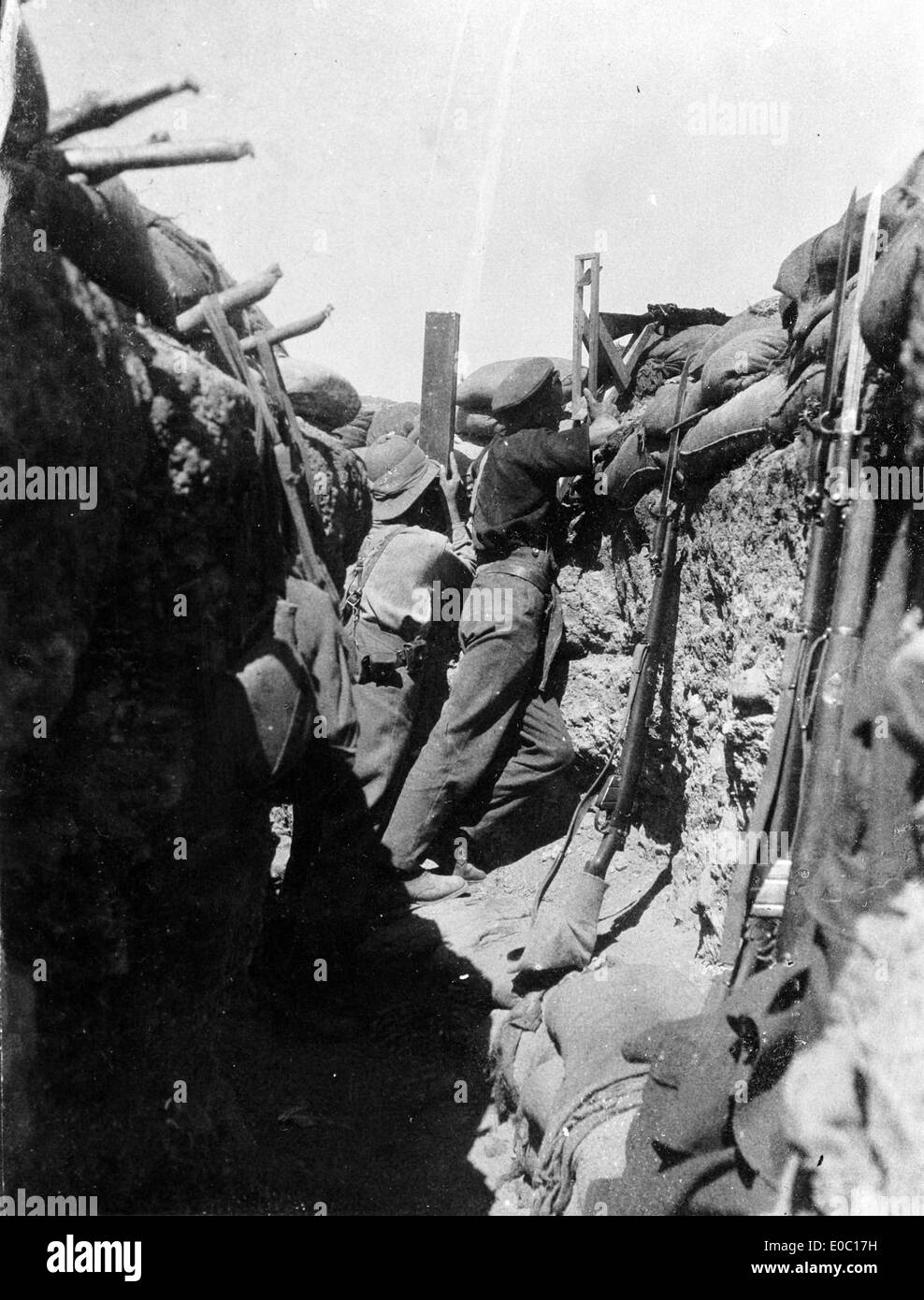 I soldati in una trincea usando un periscopio fucile, Gallipoli, Turchia, 1915 Foto Stock