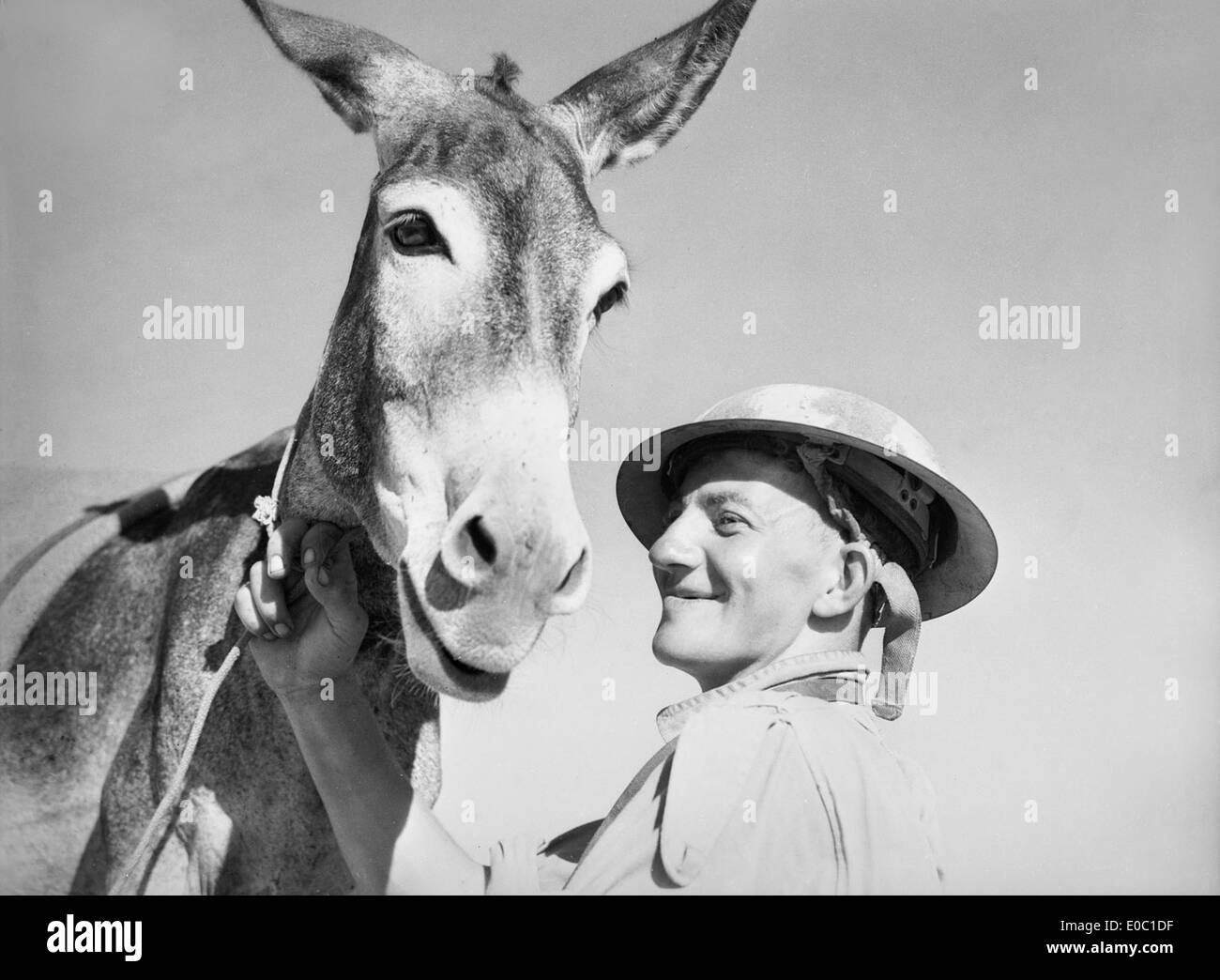 Un uomo con asino, 1941 Foto Stock
