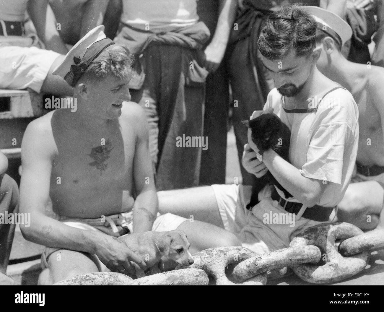 Questa fotografia mostra le mascotte a bordo della HMAS Sydney nel 1940. L'immagine mostra i marinai con le loro mascotte, tra cui cani, gatti e altri animali, che riflettono il ruolo di potenziamento del morale degli animali durante la guerra. Foto Stock