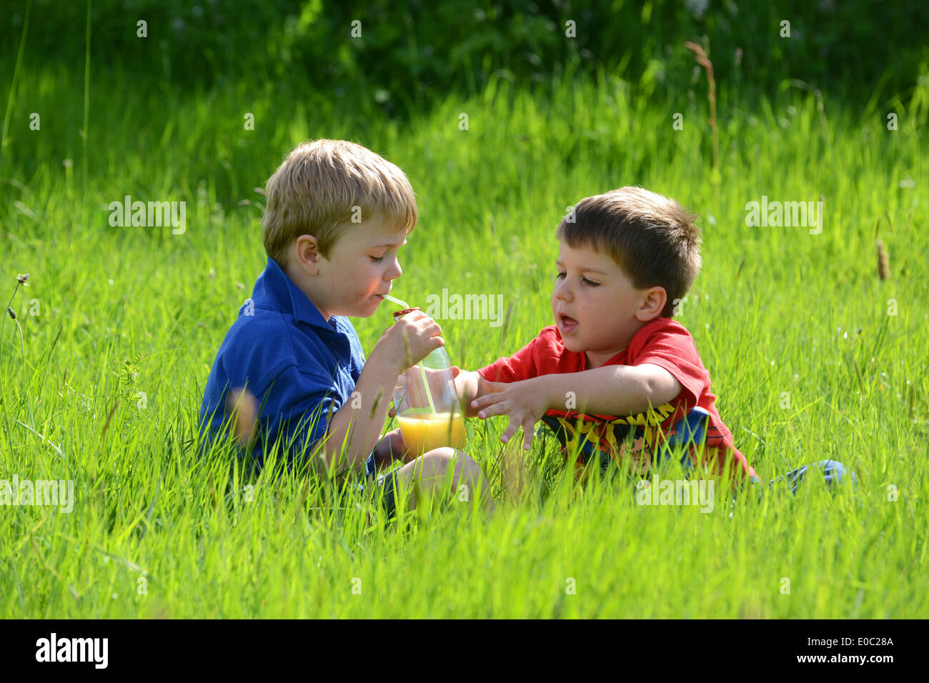 Due ragazzi fratelli condivisione bottiglia drink seduti in erba Regno Unito Foto Stock
