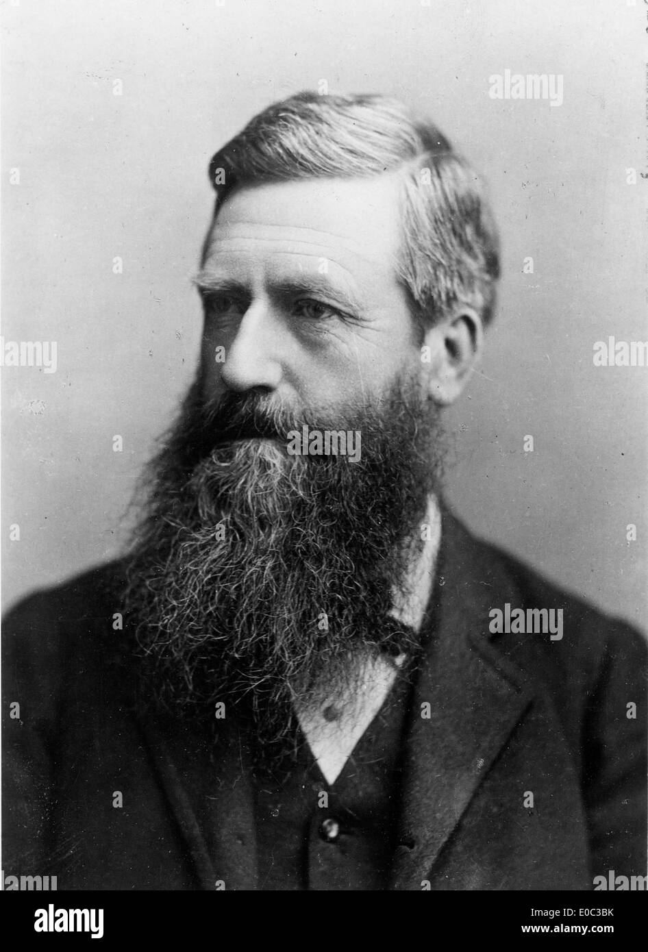 Un ritratto formale di Sir Harry Albert Atkinson, un importante politico neozelandese, scattato intorno al 1885. La fotografia rappresenta il suo status e il suo contributo al paesaggio politico neozelandese durante il XIX secolo. Foto Stock