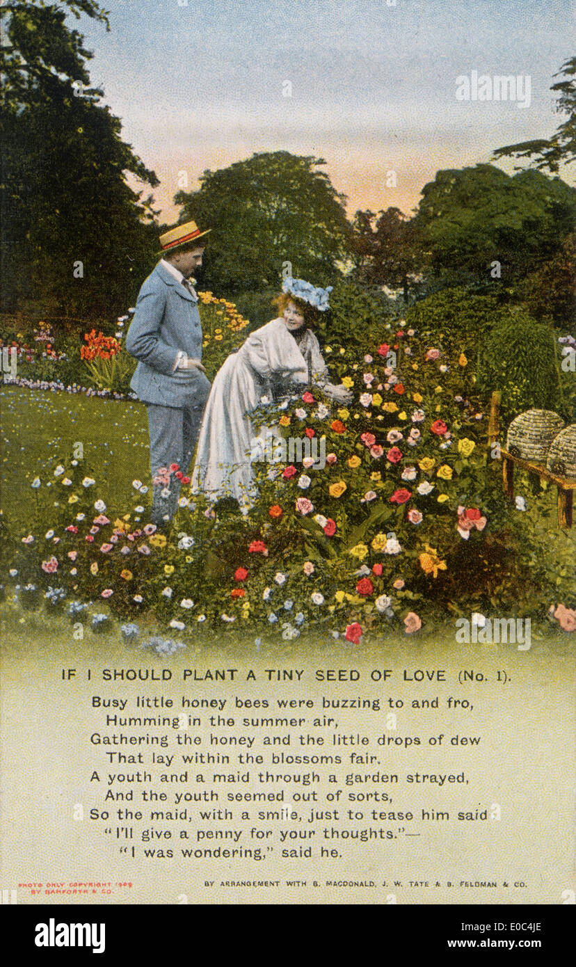 [Cartolina]. Se mi si pianta un seme di amore (n. 1). Bamforth & Co. Editori (Inghilterra). [Ca 1910]. Foto Stock
