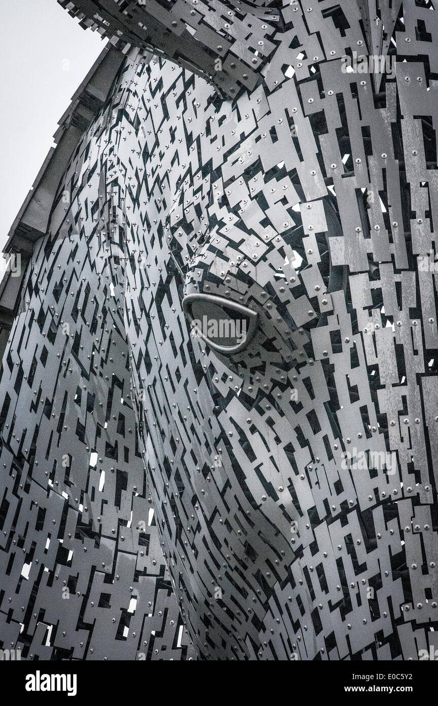 Il Kelpies, progettato e scolpito da scultore scozzese Andy Scott. Essi guardia il canale di Forth e Clyde/Fiume Carron bloccare Foto Stock
