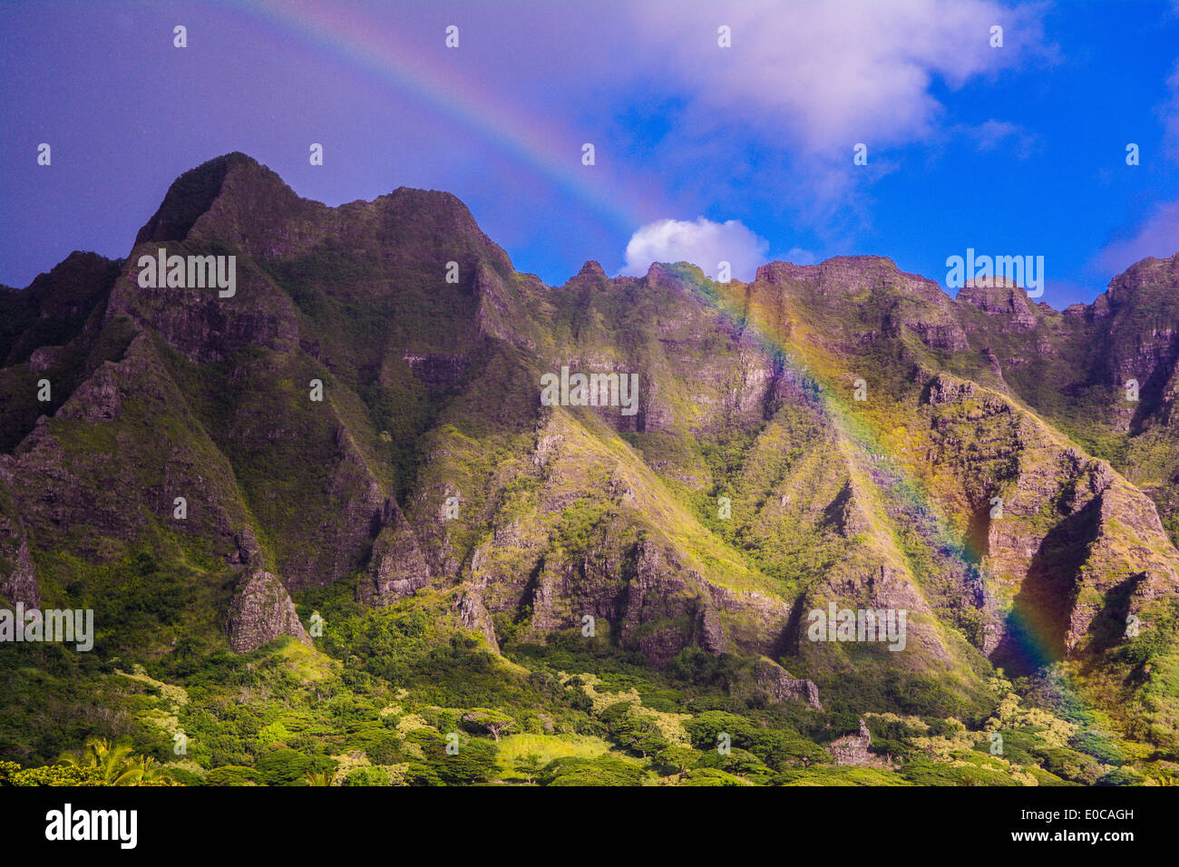 Rainbow su Kualoa, Oahu, Hawaii, STATI UNITI D'AMERICA Foto Stock