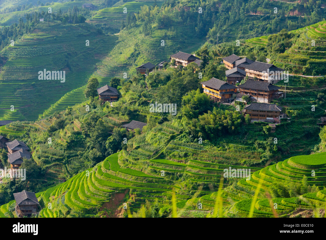 Casa in paese e terrazze di riso in montagna, Longsheng, provincia di Guangxi, Cina Foto Stock