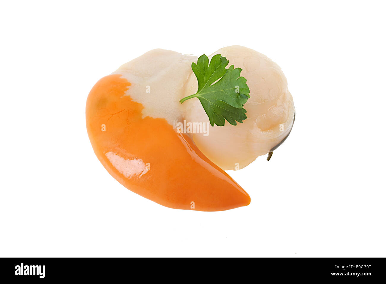 Grande pettine Foto Stock