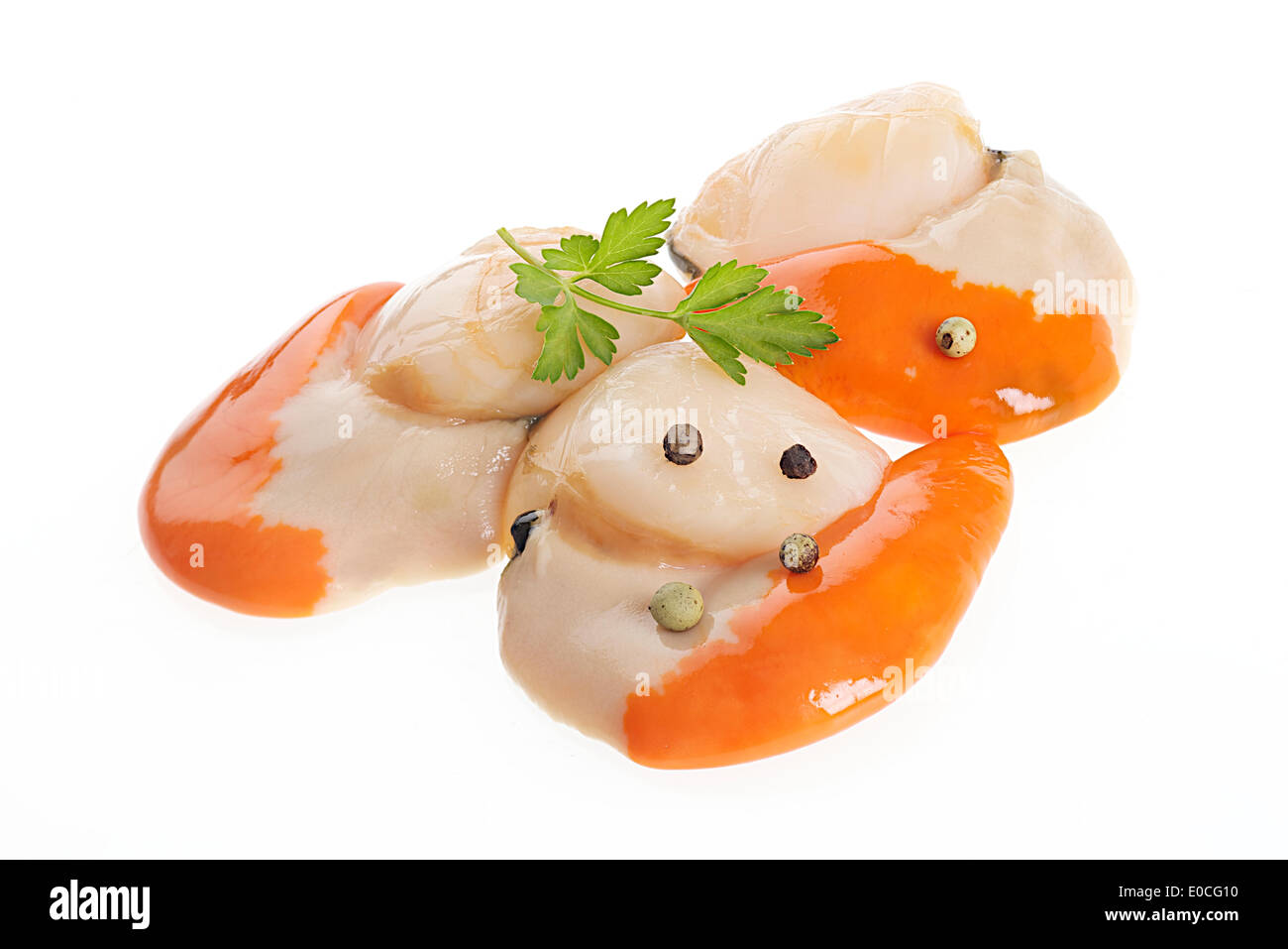 Grande pettine Foto Stock