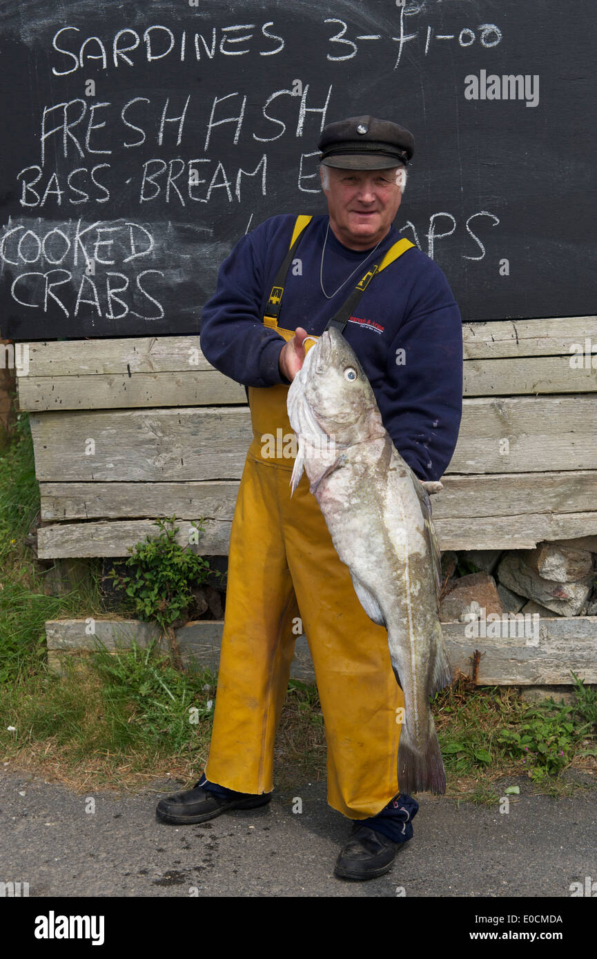 Cornovaglia, pescatore, commerciante di pesce, Merluzzo, Pesce per la vendita, Cornish pescatore, la vendita del pesce e della pesca sostenibile Foto Stock