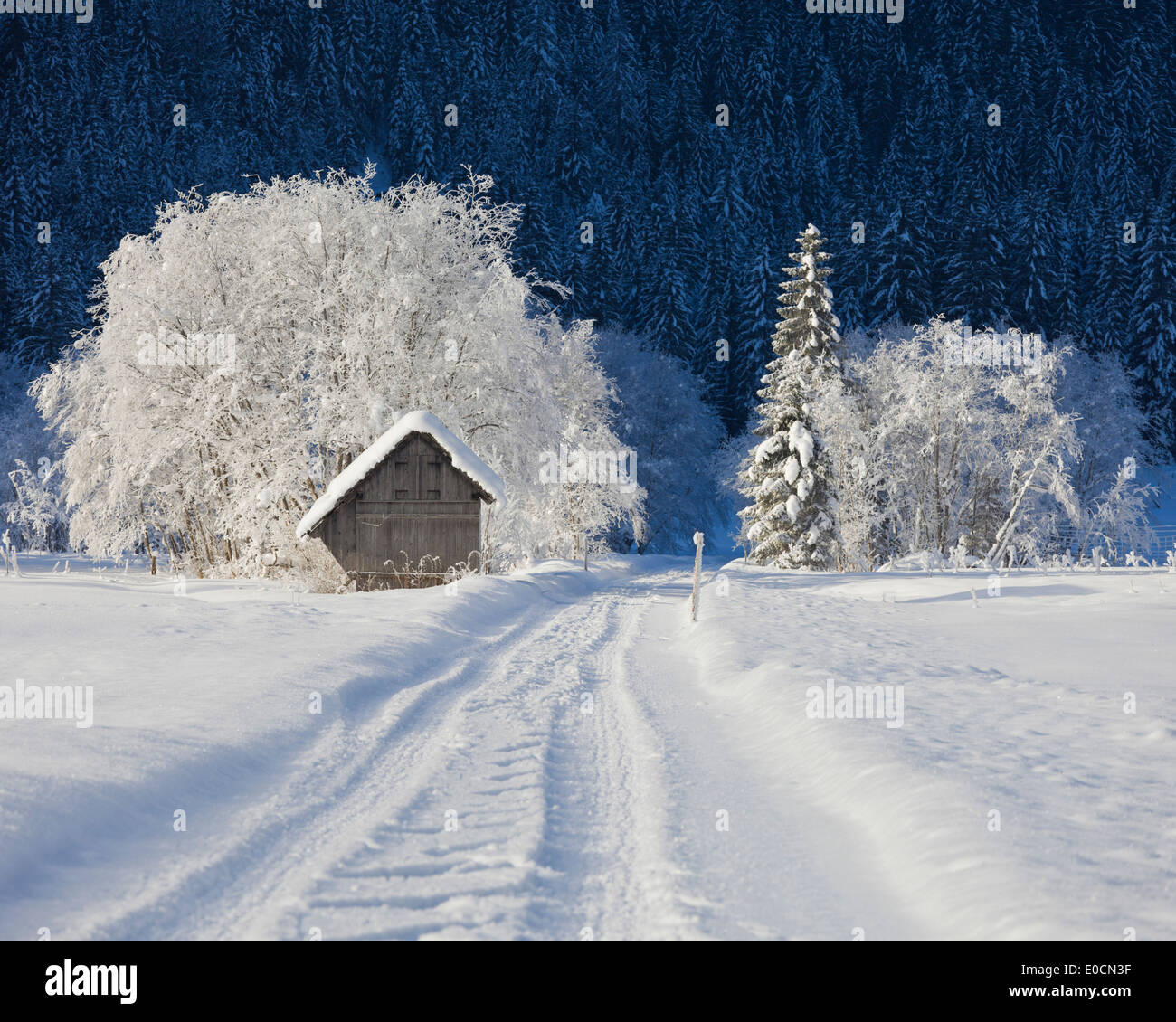 Coperta di neve su strada e cabina in corrispondenza di Rotmoos, Stiria, Austria, Europa Foto Stock