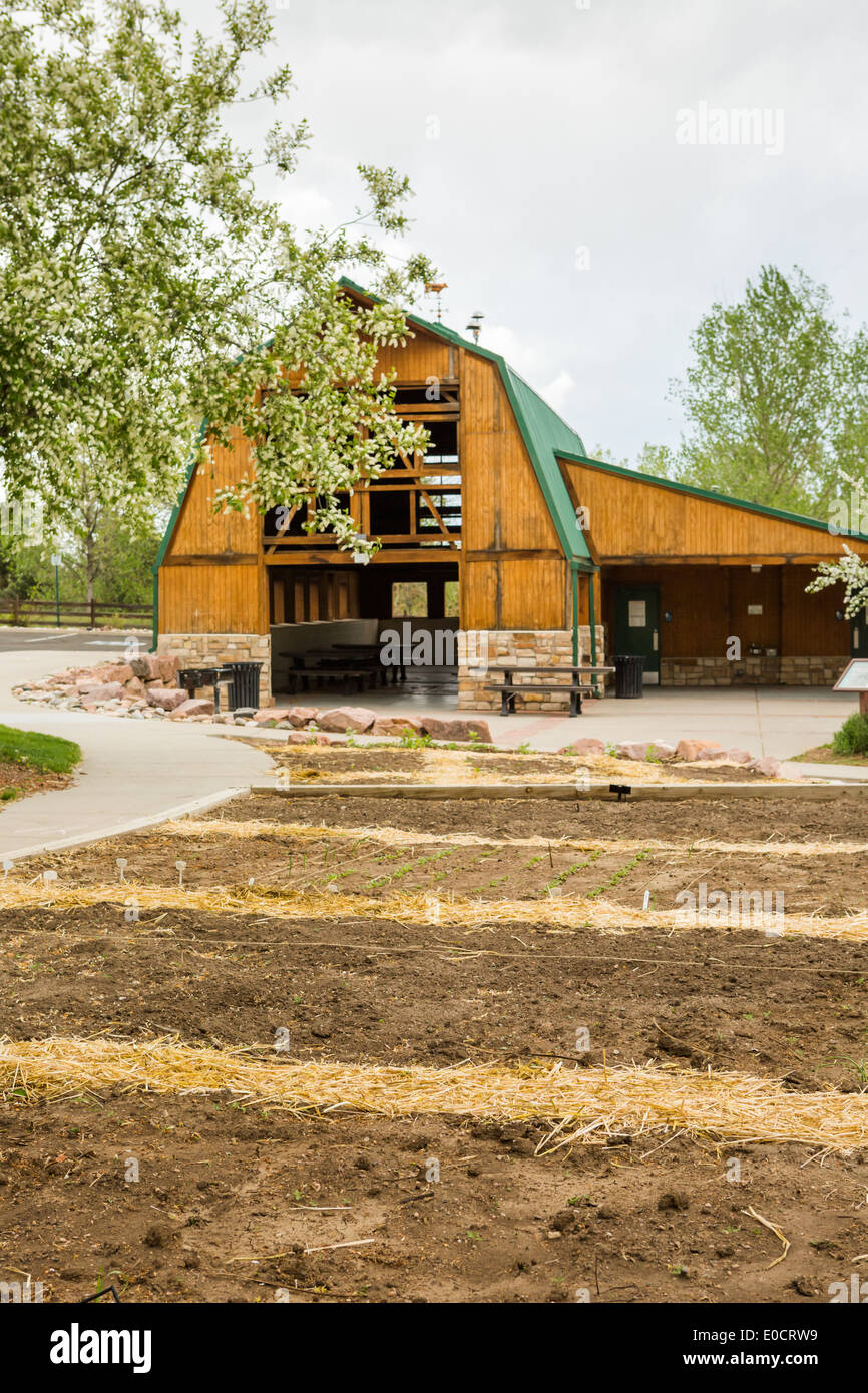 Urbano giardino vegetale è pronto per la semina in primavera. Foto Stock