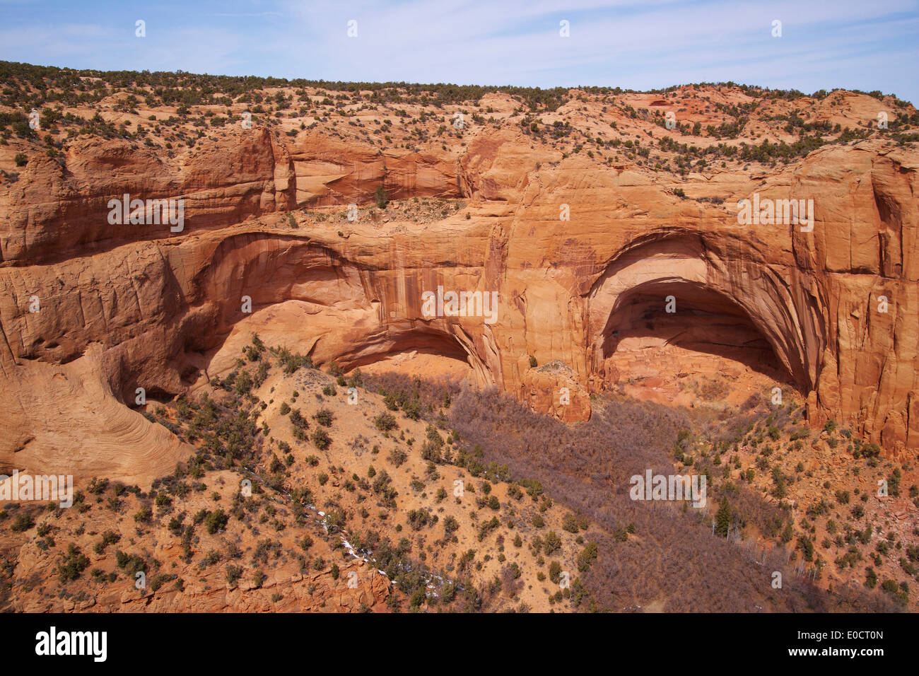 Cliff dimora nel Canyon Betatakin, Area Betatakin, Navajo National Monument, Navajo Indian Reservation, Arizona, Stati Uniti d'America, America Foto Stock