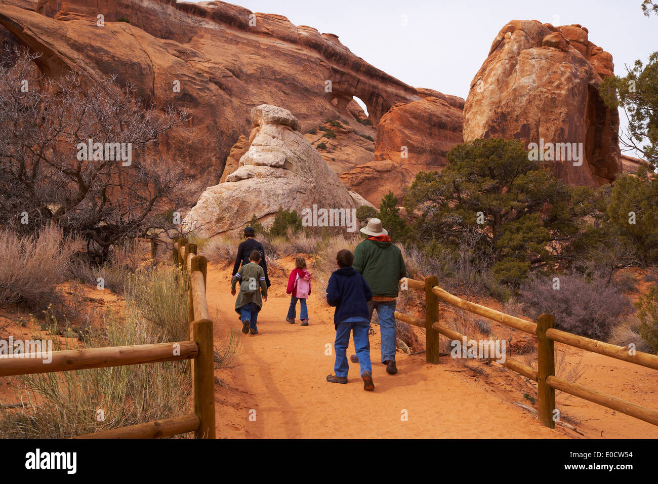 Devils Garden, Arches National Park nello Utah, Arizona, Stati Uniti d'America, America Foto Stock