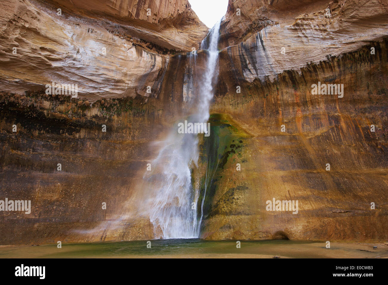 Calf Creek Falls, Calf Creek Canyon, Grand Staircase-Escalante monumento nazionale, Utah, Stati Uniti d'America, America Foto Stock