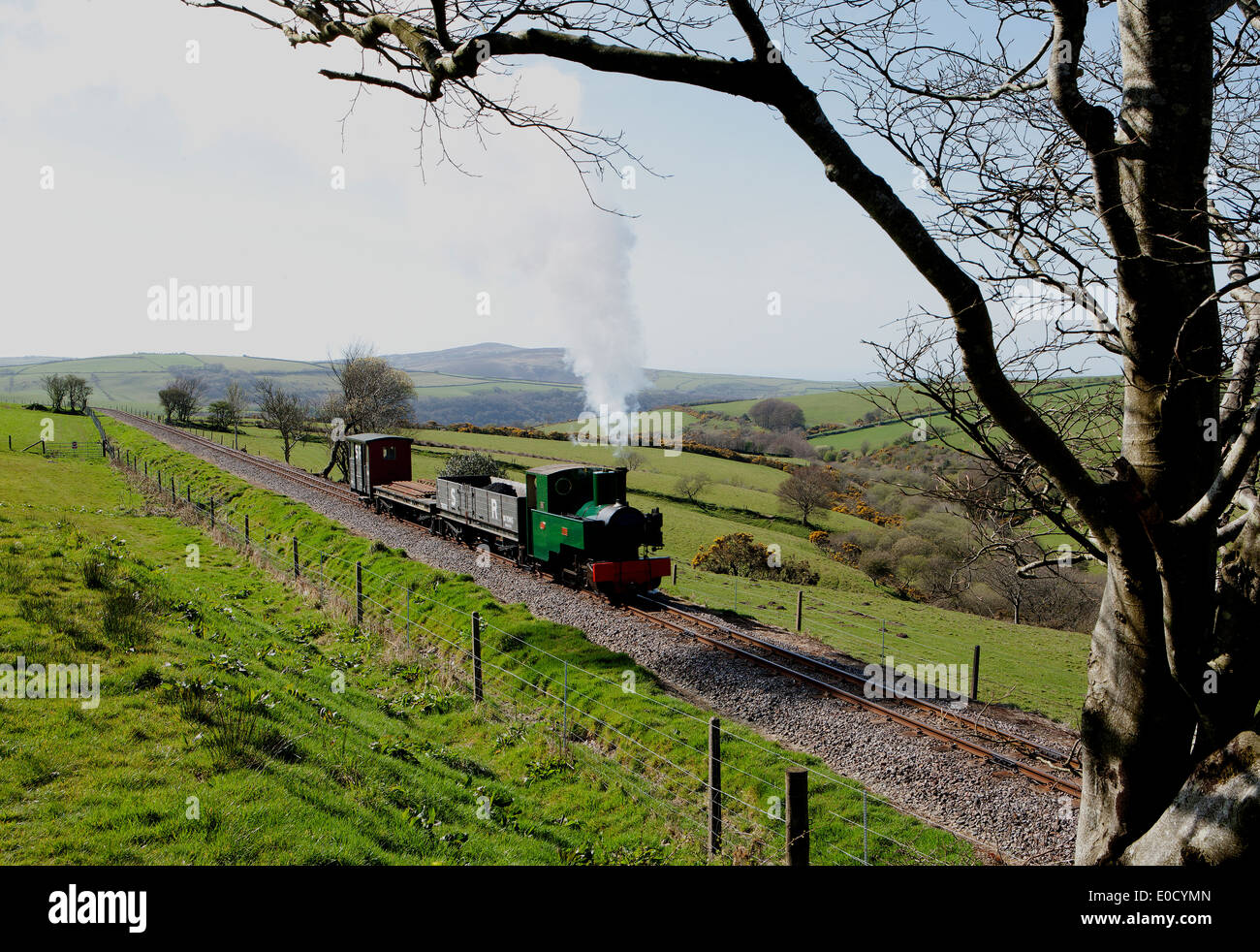 Un treno che va in Woody Bay stazione sul Lynton e Barnstaple Railway su un breve tratto della linea a scartamento ridotto . Foto Stock