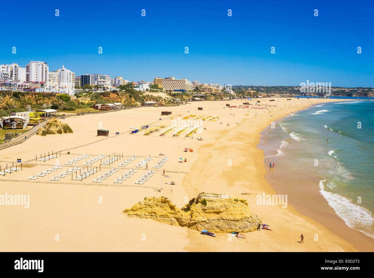 Lucertole da mare a Praia Da Rocha Beach Portimao Algarve Portogallo UE Europa Foto Stock