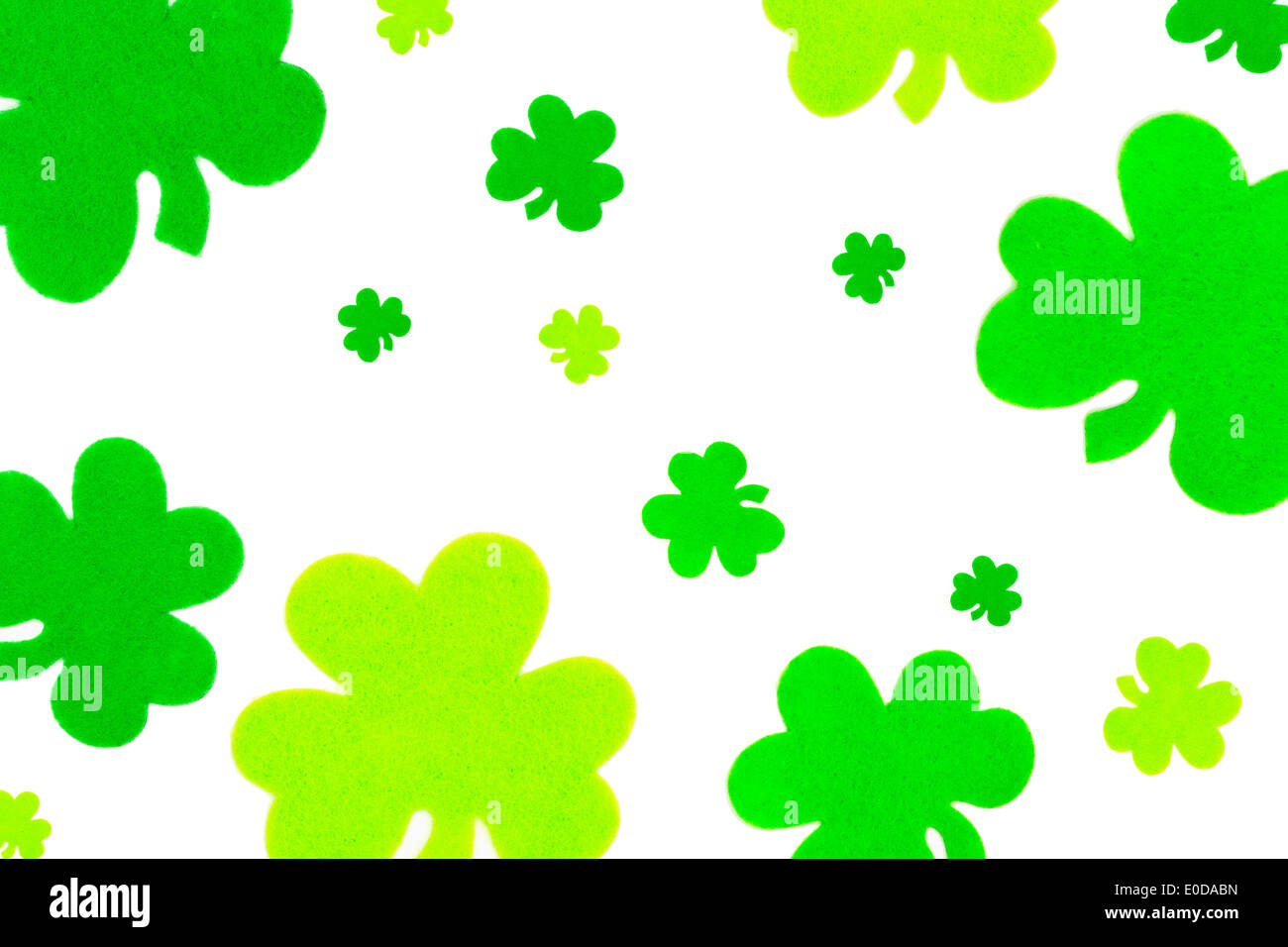 Shamrock verde su bianco Foto Stock