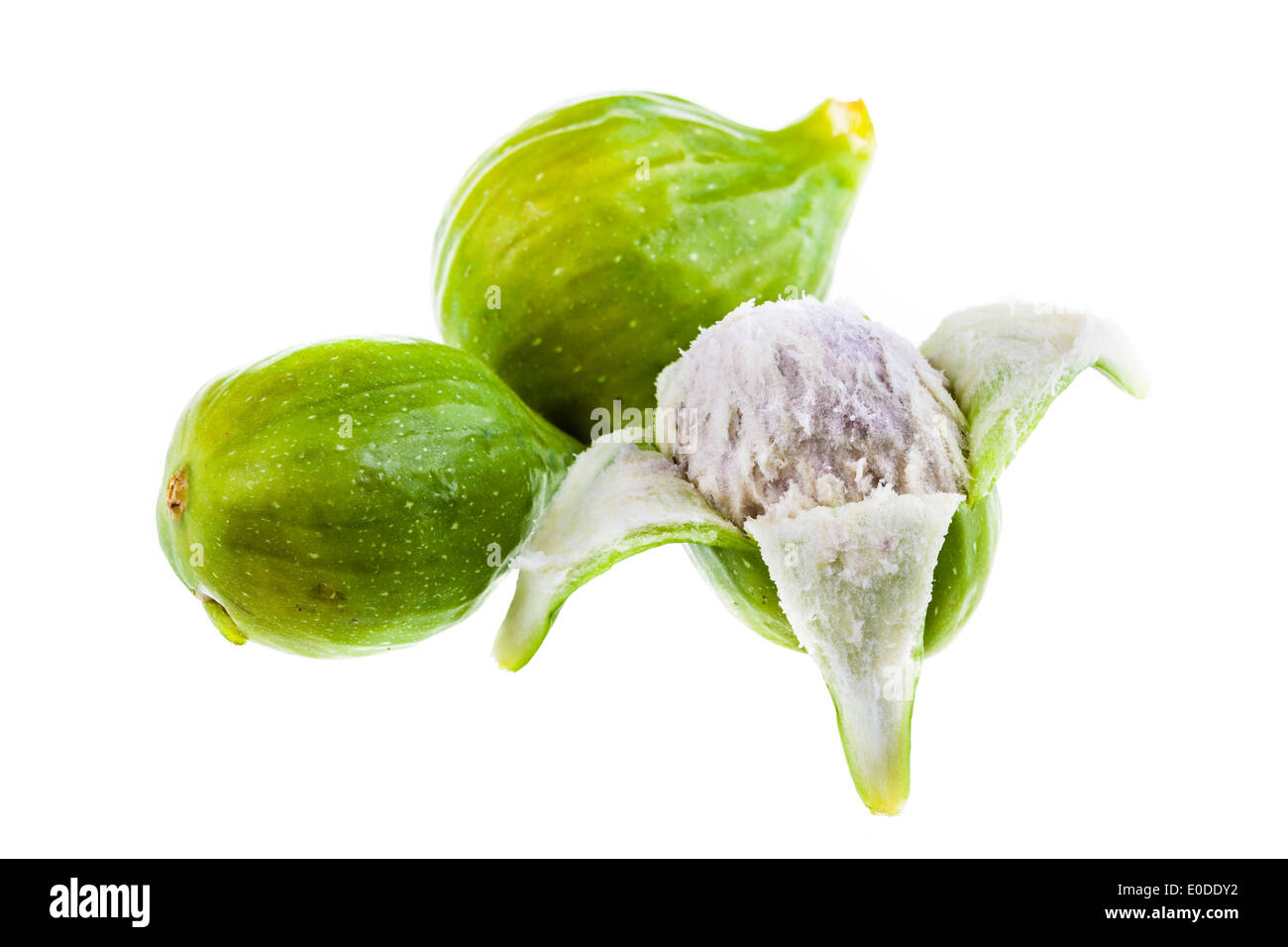 Fichi verdi maturi isolate su uno sfondo bianco Foto Stock