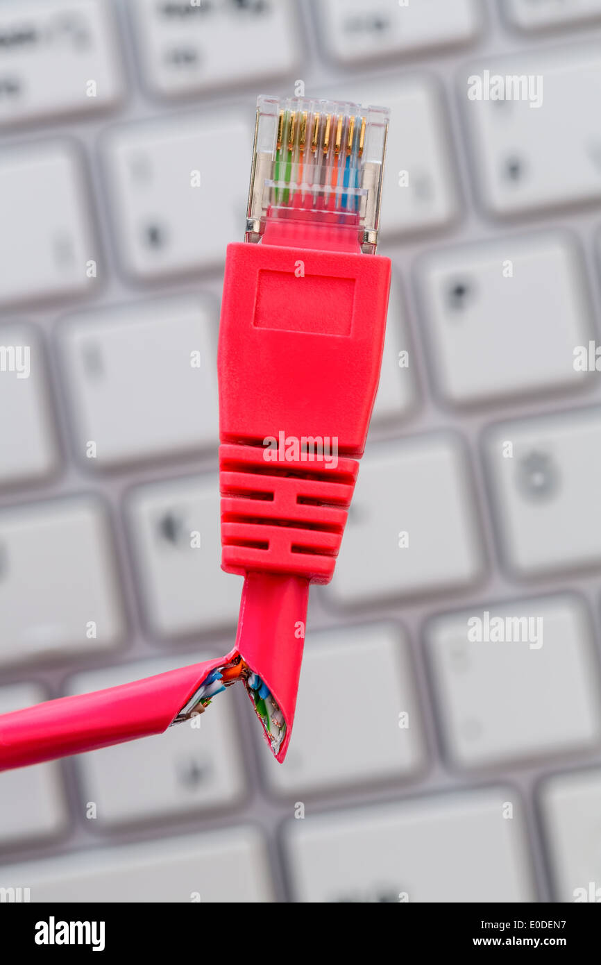Un rosso cavo di rete di un computer. Sullo sfondo un computer Tastatue, Ein rotes Netzwerk Kabel eines Computers. Hintergru im Foto Stock