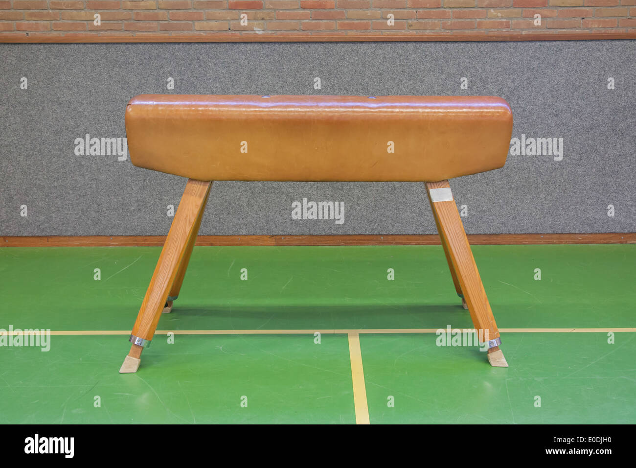 Cavallo in una vecchia scuola olandese palestra Foto Stock