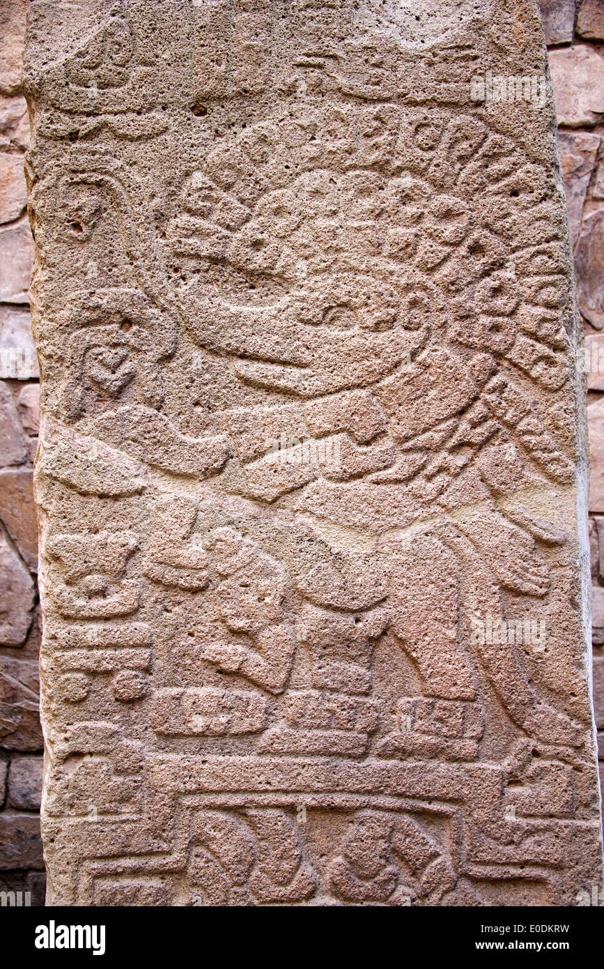 Stela zapoteco civiltà Monte Alban museo Provincia di Oaxaca Messico Foto Stock