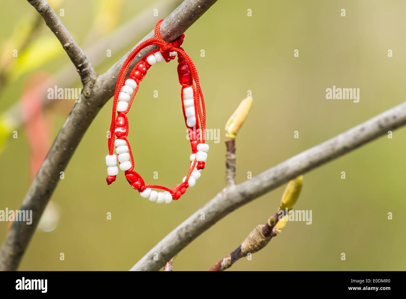 Rosso e Bianco Decorazione Martisor appeso a un albero Foto Stock