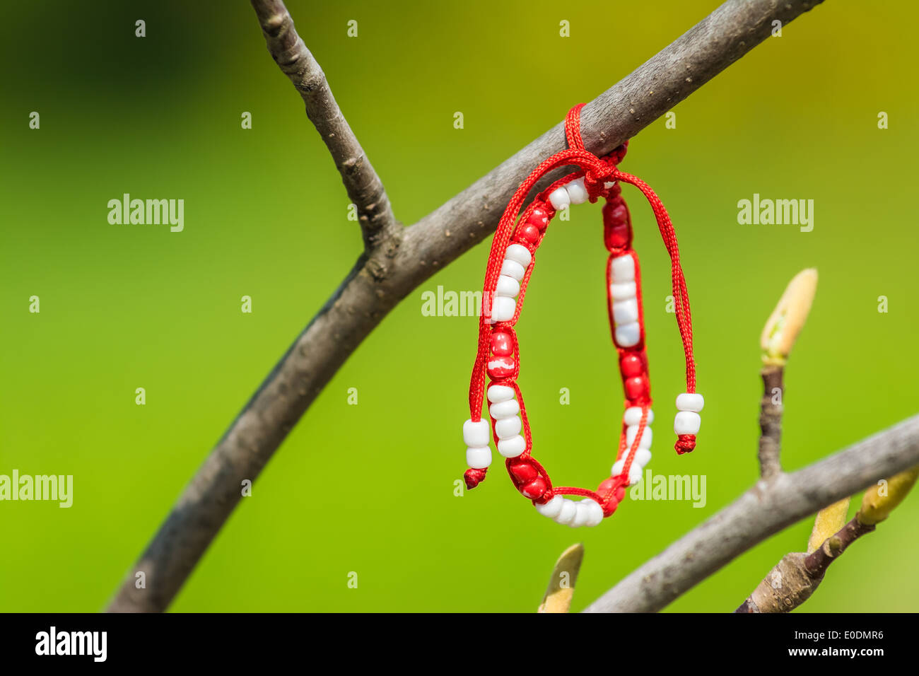 Rosso e Bianco Decorazione Martisor appeso a un albero Foto Stock